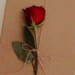 valentines rose on brown box-mobile
