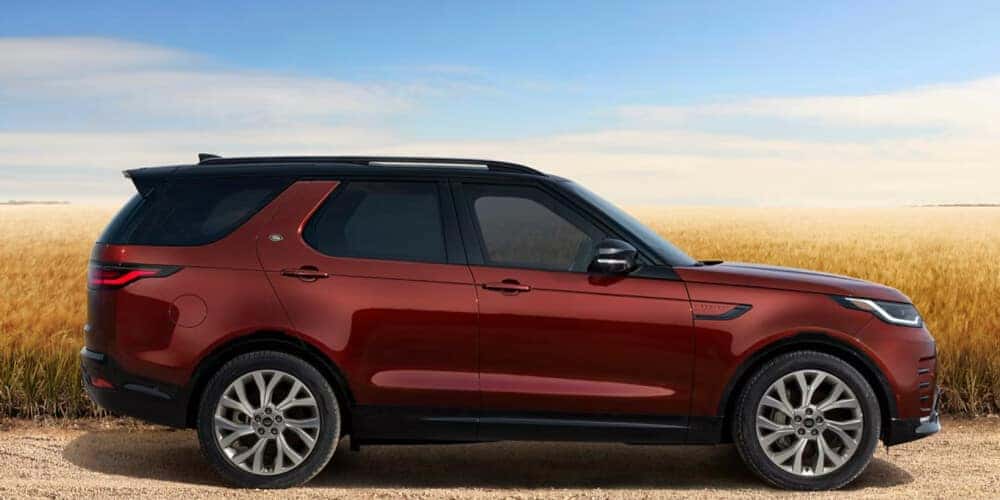 2026 Discovery Performance