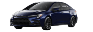 Blueprint with Black Metallic roof