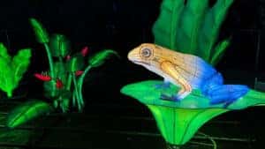 Frog lantern, Lantern Festival at John Ball Zoo Photo: Flickr/Allan Henderson