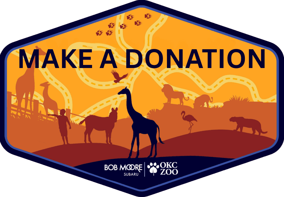 make a donation