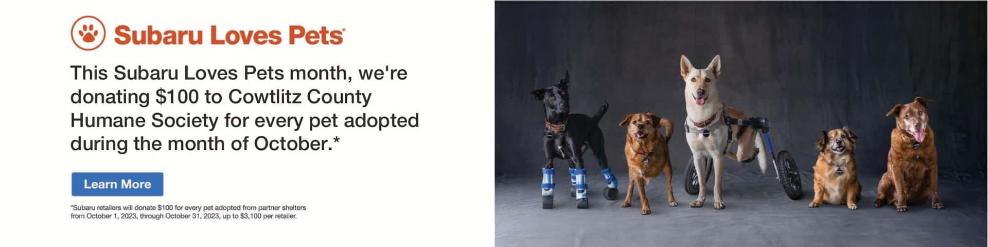 Custom_SLPHPR