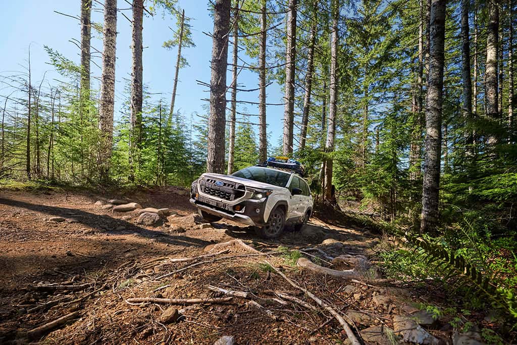 2026 Subaru Forester Wilderness in white driving off-road in a forest