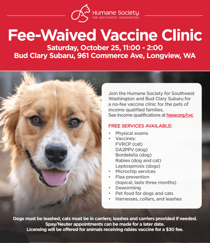 vacacine clinic infographic