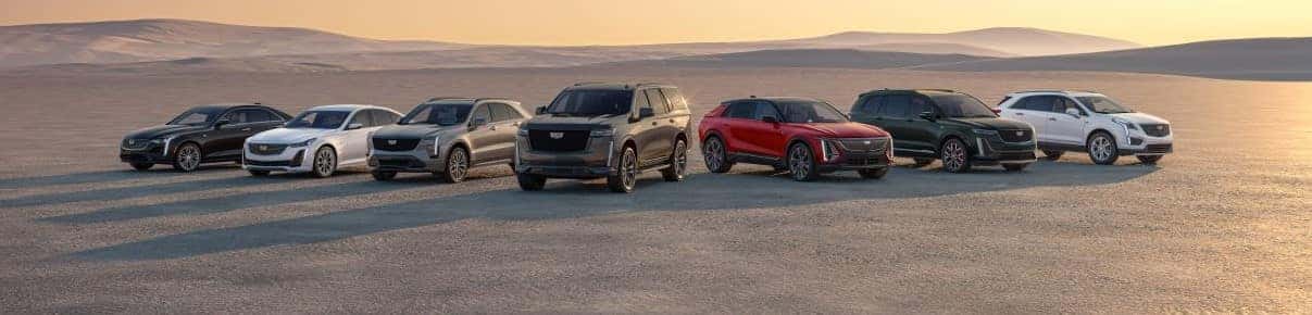 cars & suvs for sale