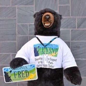 Fred the Bear