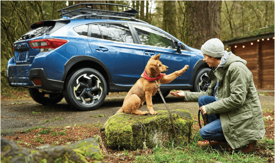 Over 47,000 Shelter Pets Find Loving Homes With Help From Subaru Love