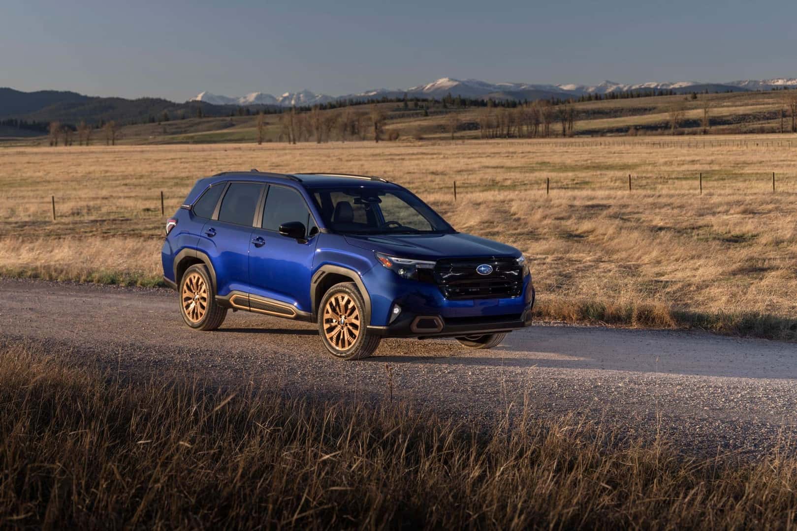 The Award Winning And Secure SUV, The 2025 Subaru Forester, Passing By Golden Grass