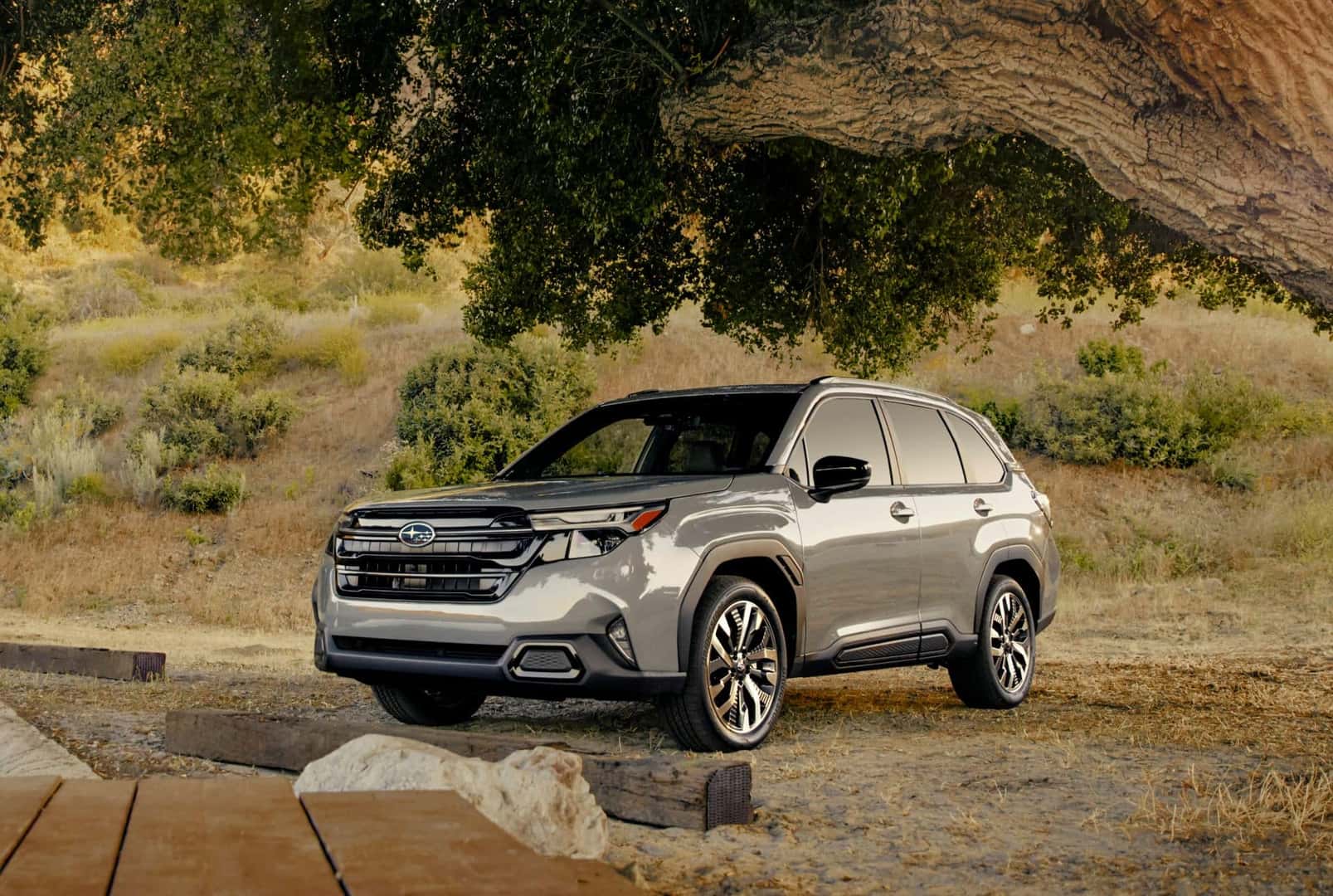 The Awarded And Beloved Subaru Forester, At A Beautiful Camp Site, Under A Tree