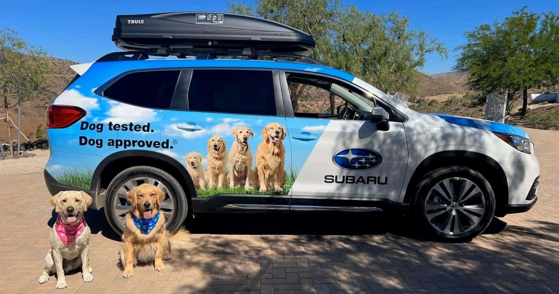 Subaru vehicle with advertisement of Golden Retrievers
