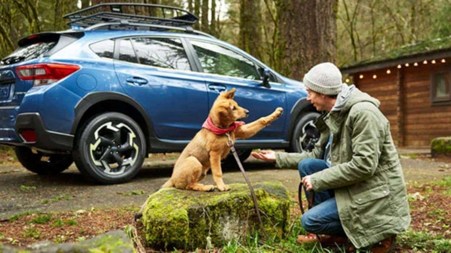 Pet Friendly Brochure Image