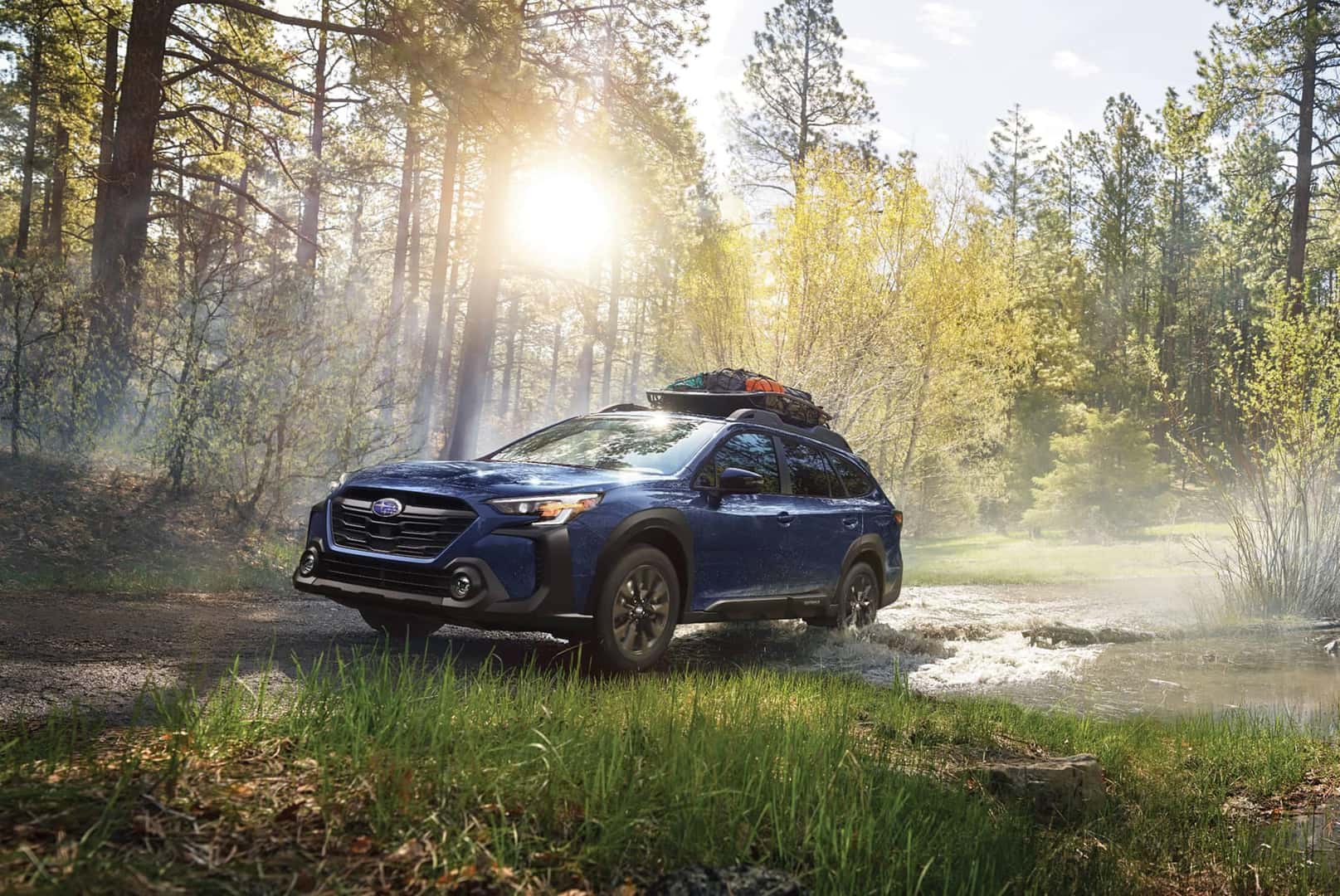2025 Subaru Outback in a forest meadow