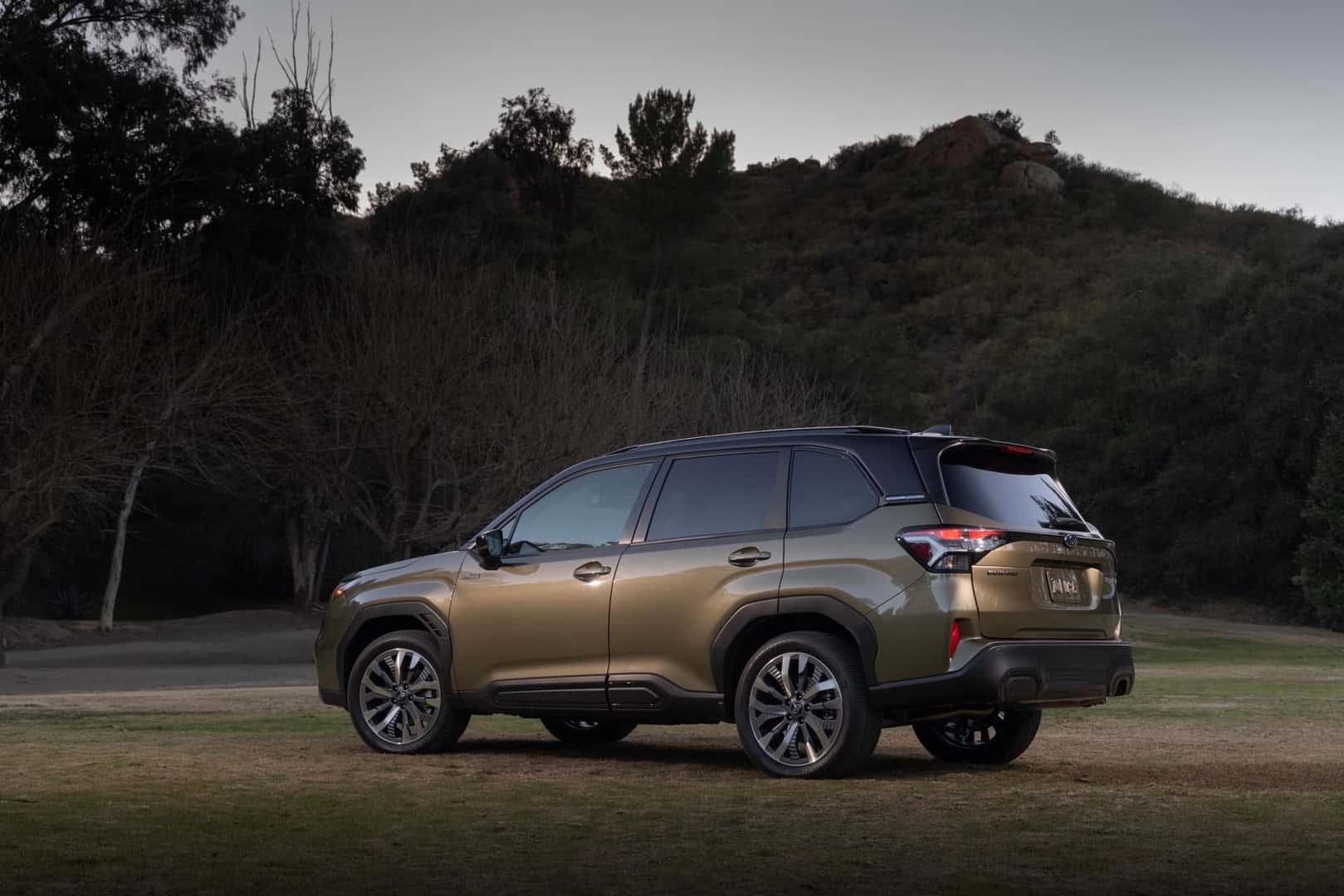 2025 Subaru Forester Hybrid Driver's Side Profile