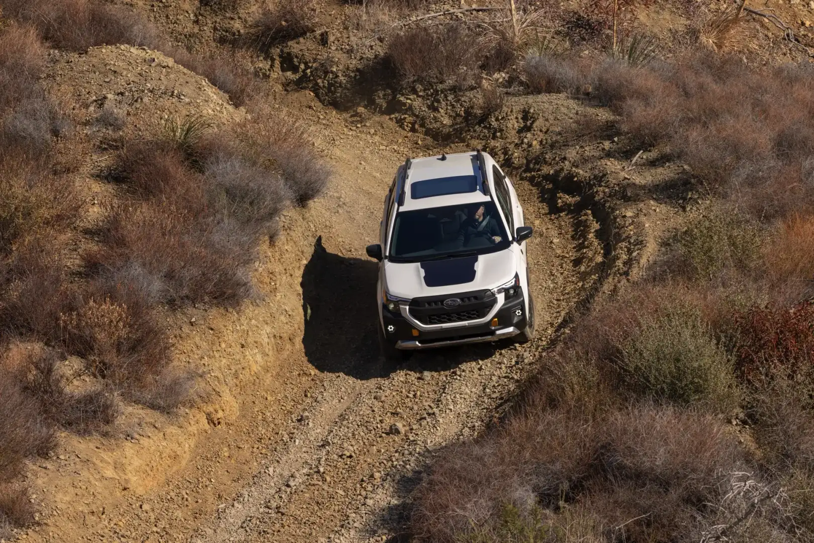 2026 white Subaru Forester Wilderness off roading driving down a dirt road