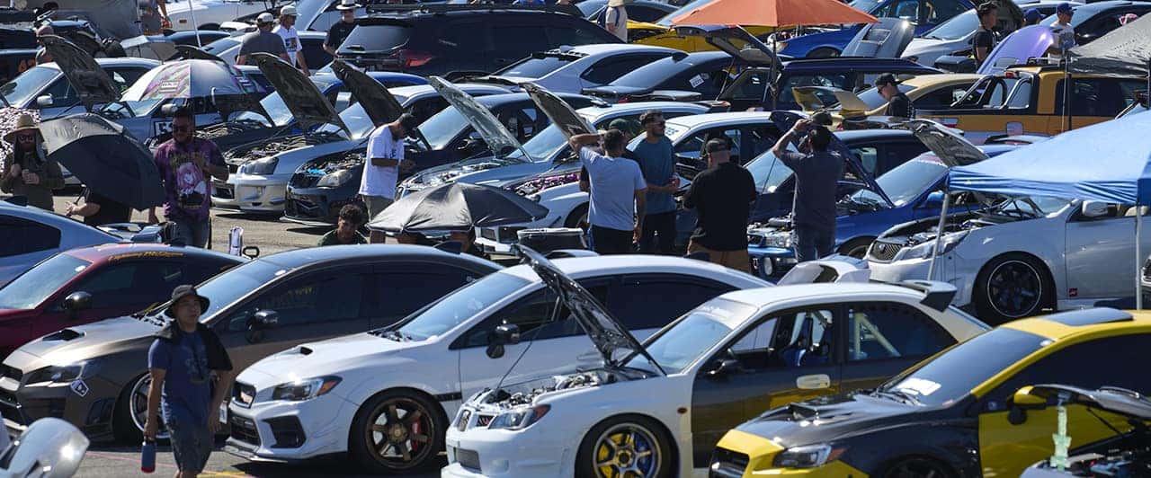 Subiefest California Image