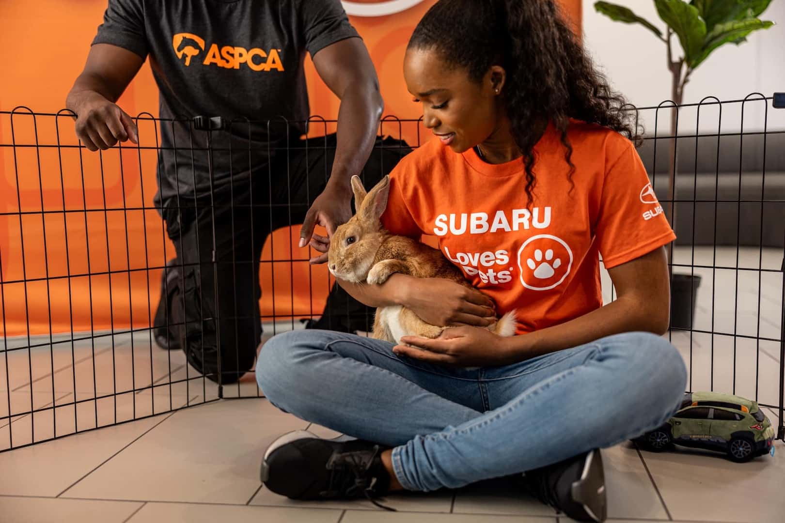 Subaru Pet Adoption Event