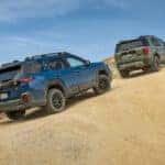 Subaru Models Group Shot