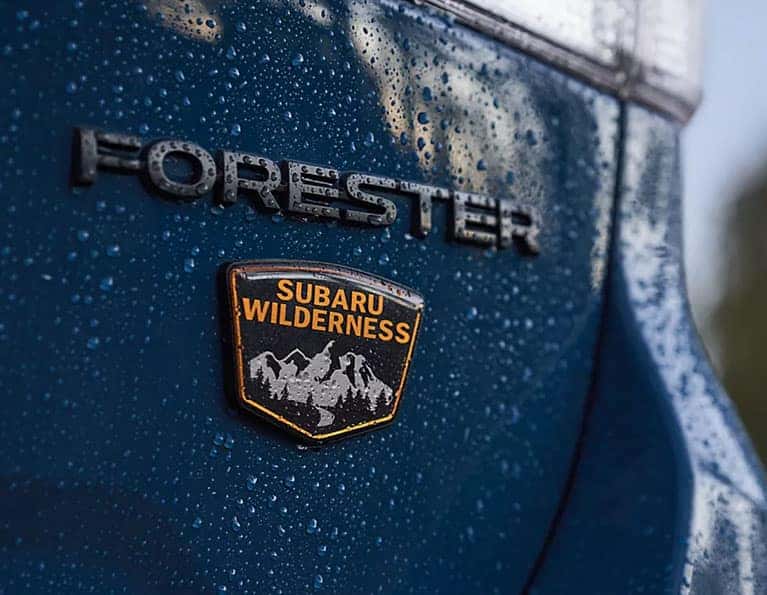 2024 Subaru Forester Wilderness