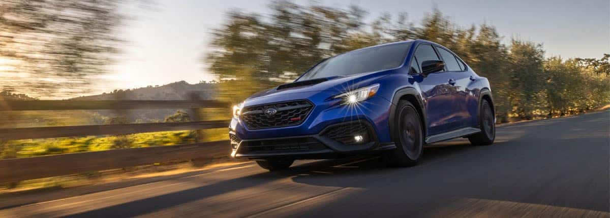 2025 Subaru WRX