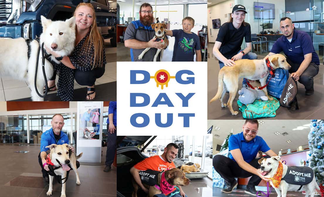 Ferguson Subaru Dog Day Out