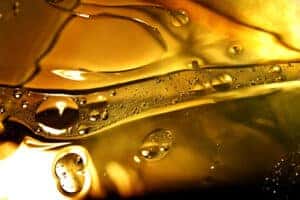 Oil Change Service Near Me in Spring, TX