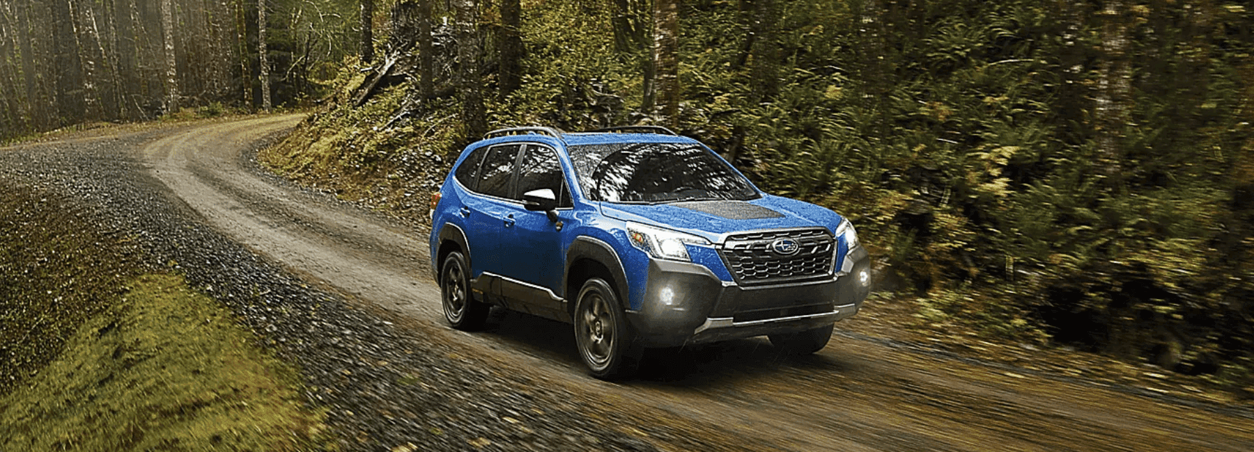 2023 Subaru Forester Driving Through The Forest