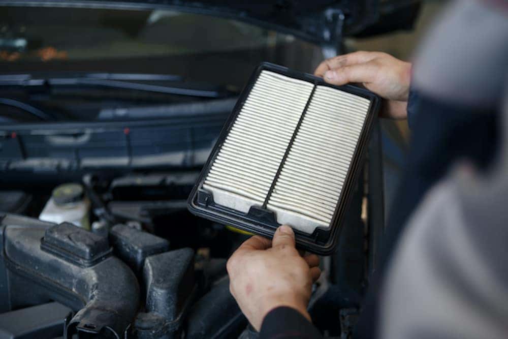 Cabin Air Filter Special