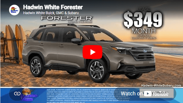 placeholder image for video, click image and video will play