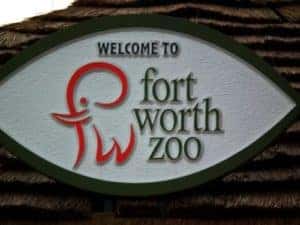 Fort Worth Zoo During The Holidays