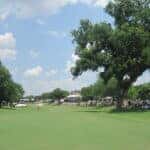 Golf This Summer In Fort Worth, TX sunny day with trees on the course