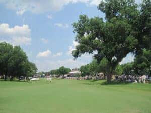 Golf This Summer In Fort Worth, TX sunny day with trees on the course