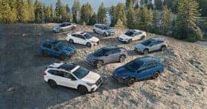2025 Subaru Lineup 
