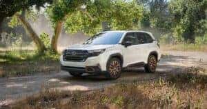 2025 Subaru Forrester in Forest