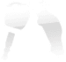 IGA-Icon-2