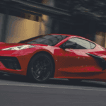 Stingray