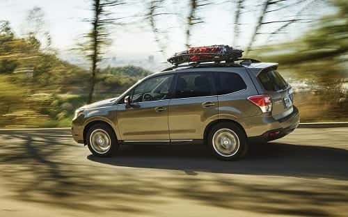 Subaru Service Specials in Marysville