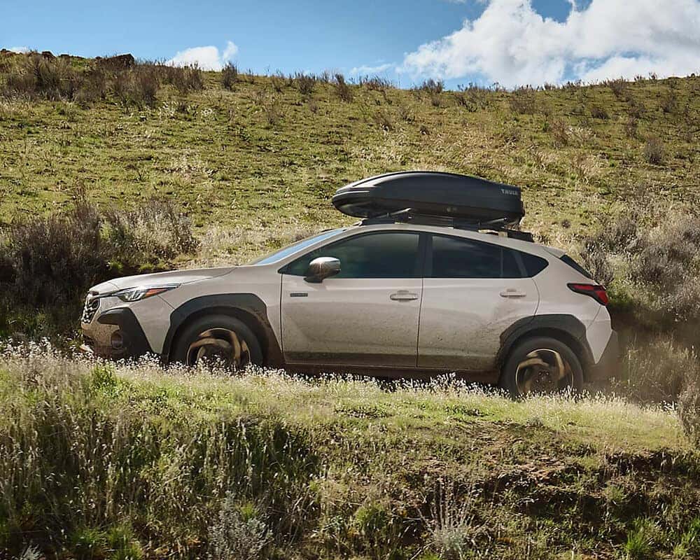 New Subaru Outback
