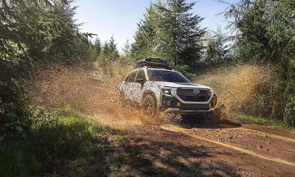 New Subaru for Sale