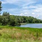 WithlacoochieStateForest
