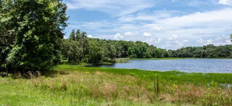 WithlacoochieStateForest