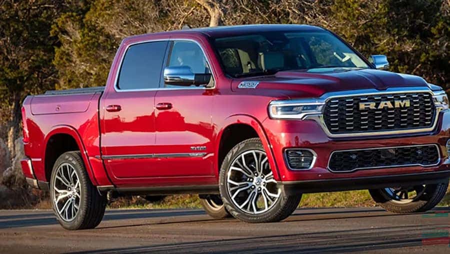 Red Ram