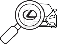 Magnifying Glass Icon