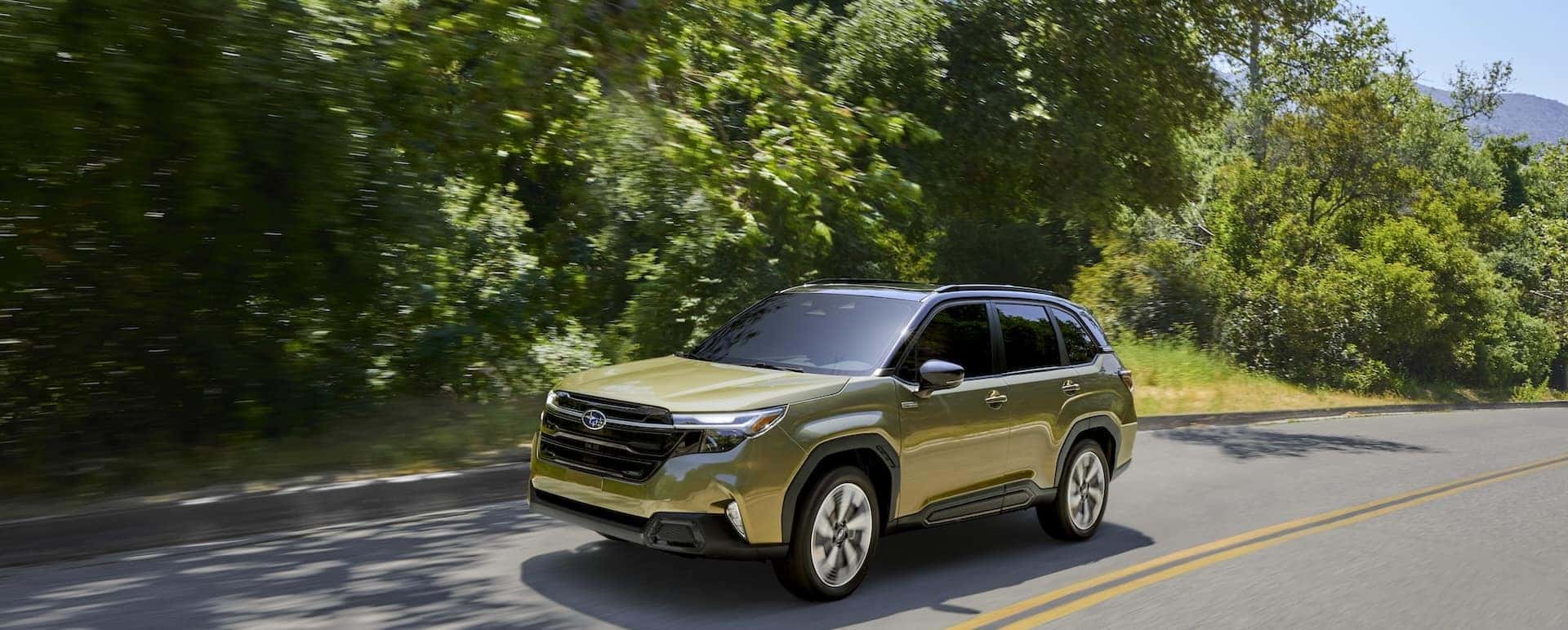 Forester Hybrid
