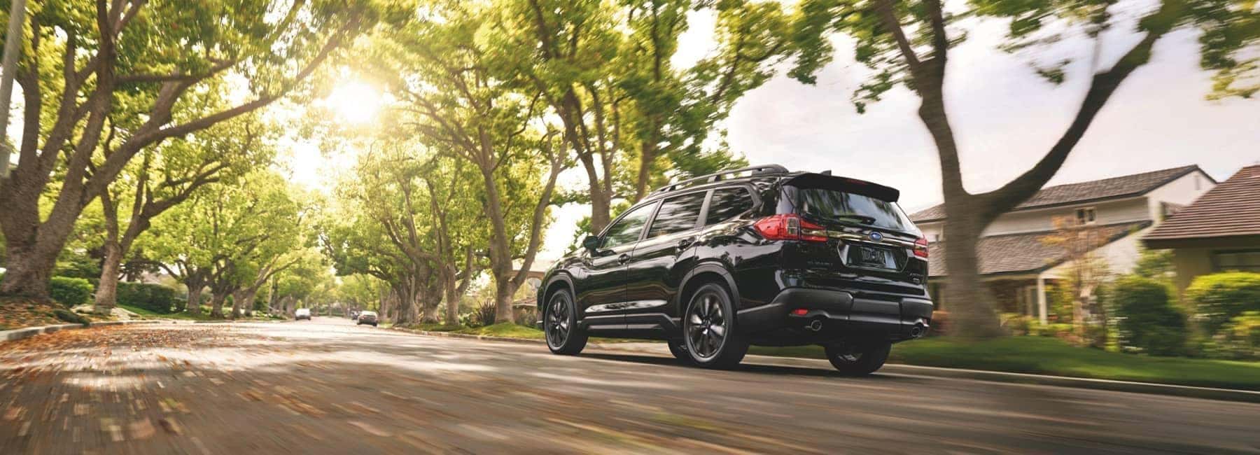 2022 Subarau Ascent driving on a country road under tall trees