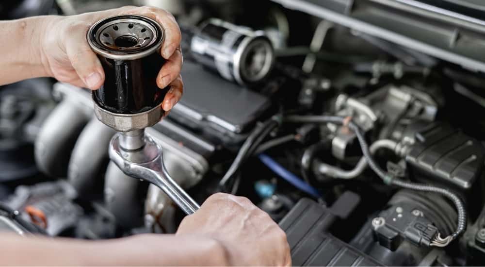 Oil filter being replaced