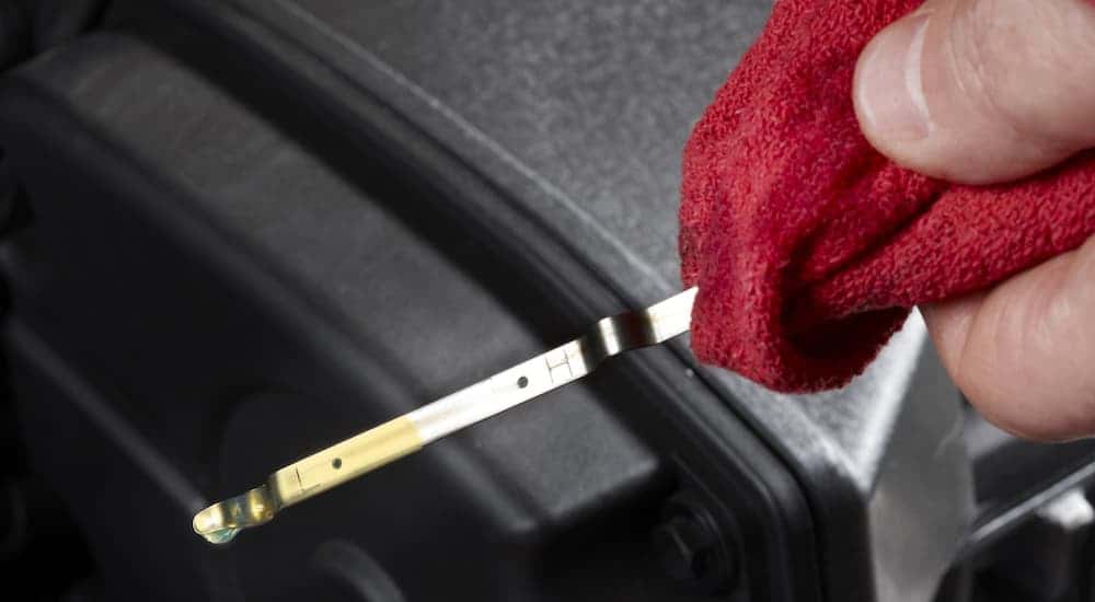 Oil being checked on a dipstick