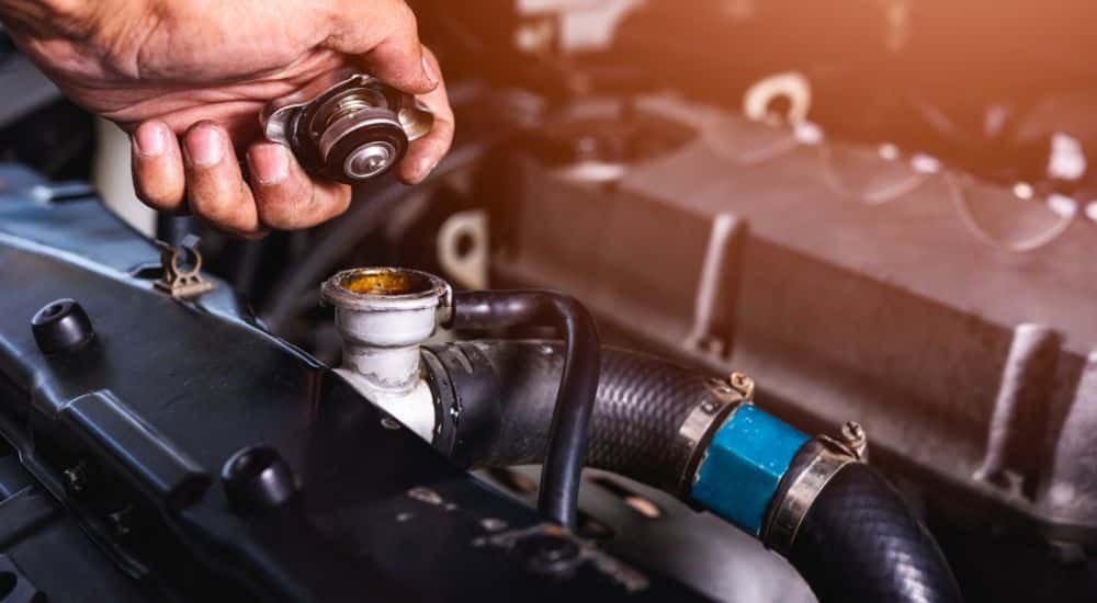 Technician checking vehicle coolant
