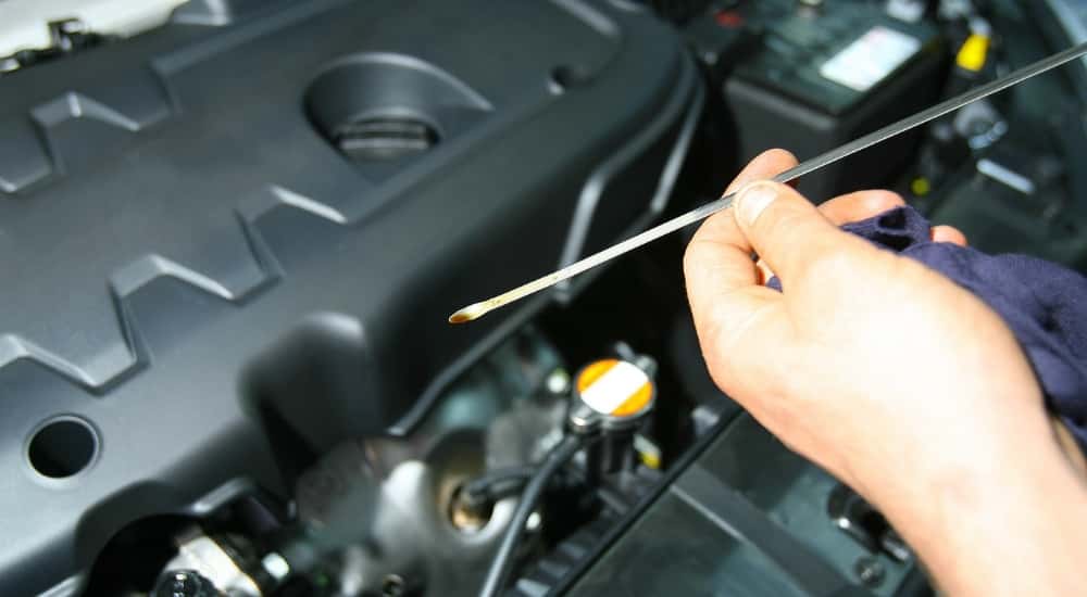 Person checking a dipstick
