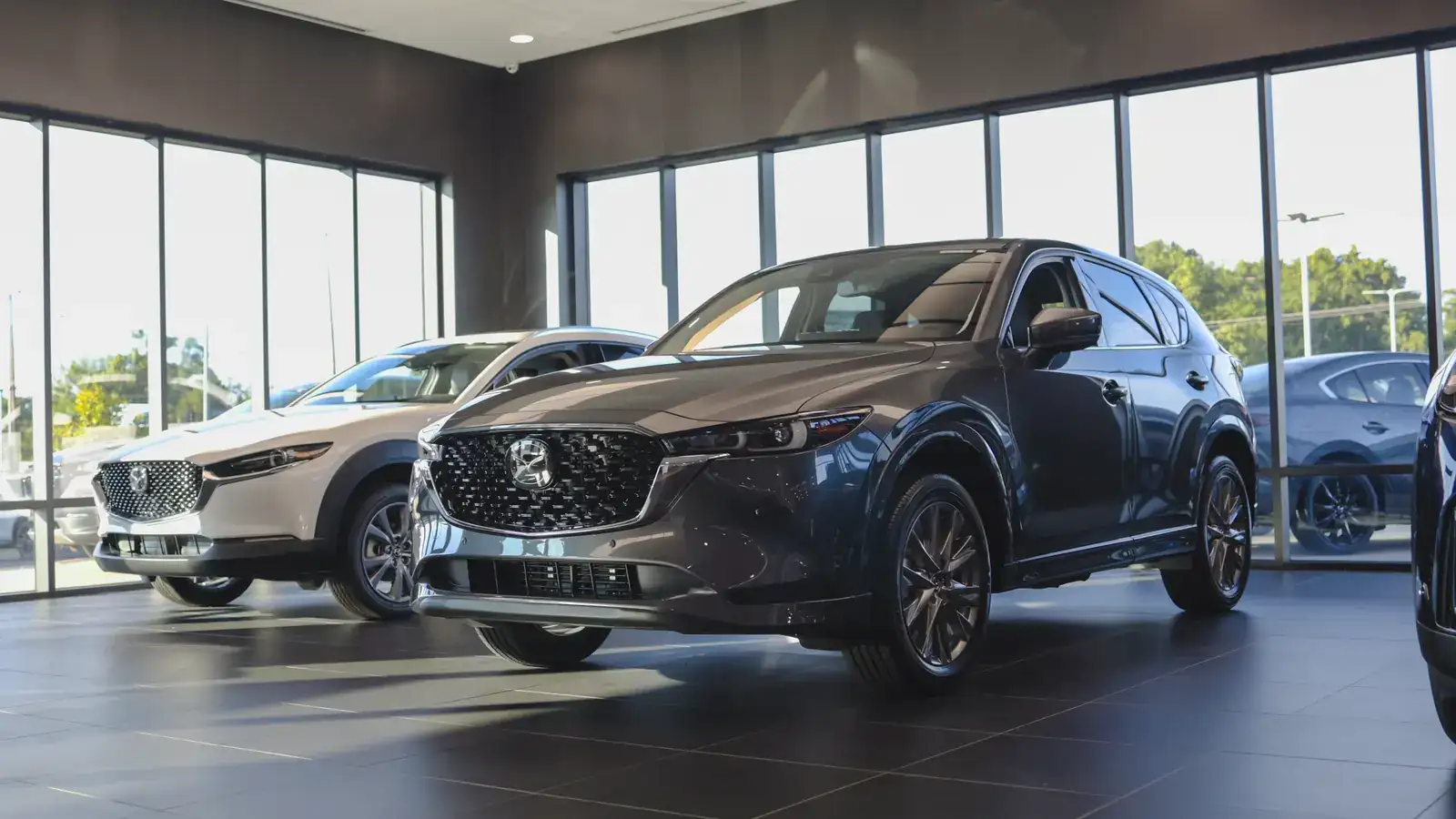 New Mazda CX-5 and CX-50 SUVs on a dealership showroom floor