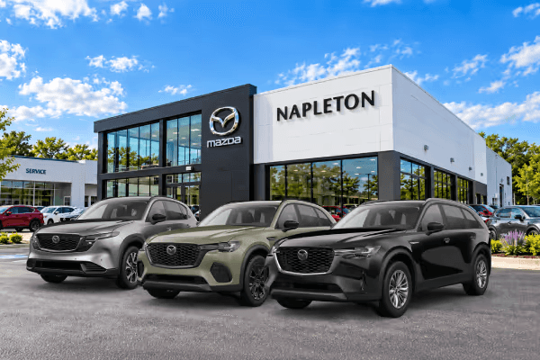 <strong>0% APR Financing For 60 Months</strong>